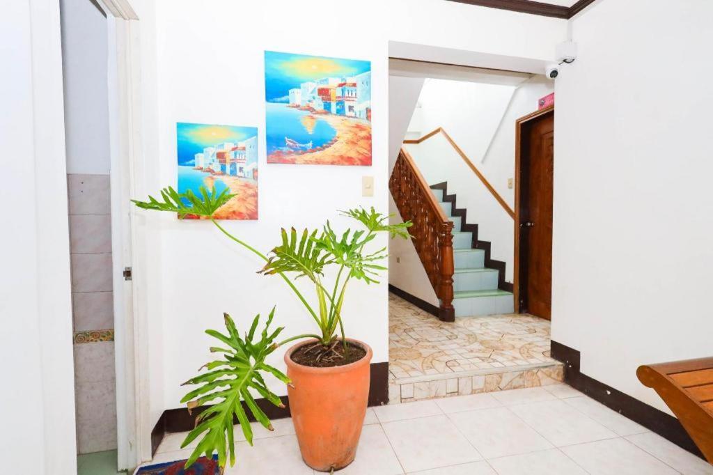 Mayon Backpackers Hostel Legazpi Exterior foto